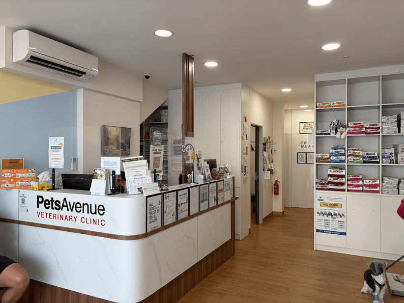 Toa Payoh Vet Singapore