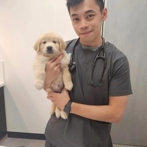 Vet holding puppy