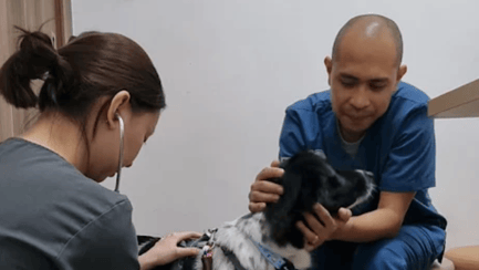 Expanded Veterinary Expertise