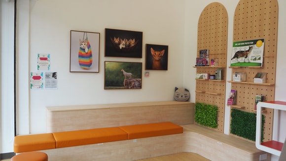 Beauty World (Cat Vets) Waiting area
