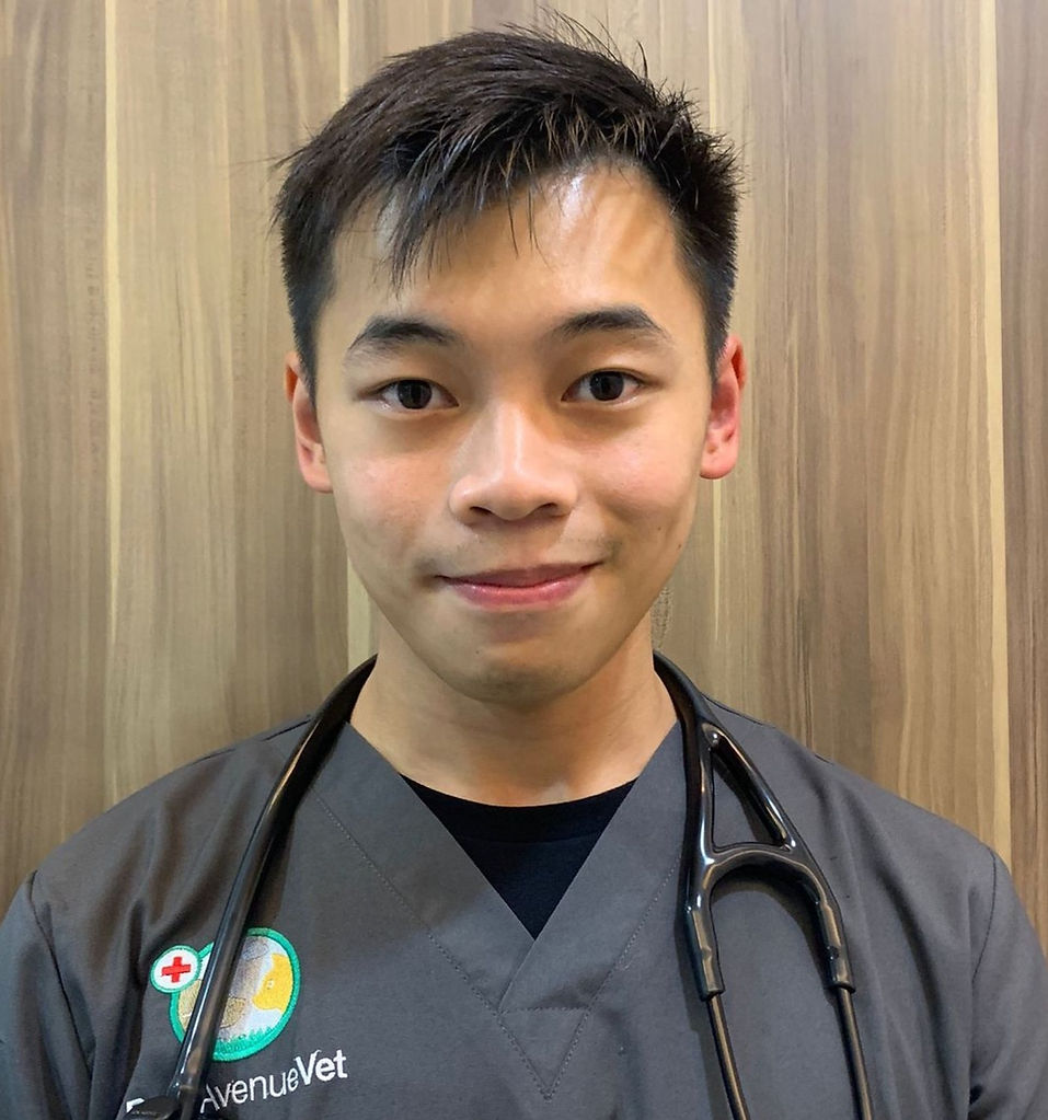 Dr Timothy Koh