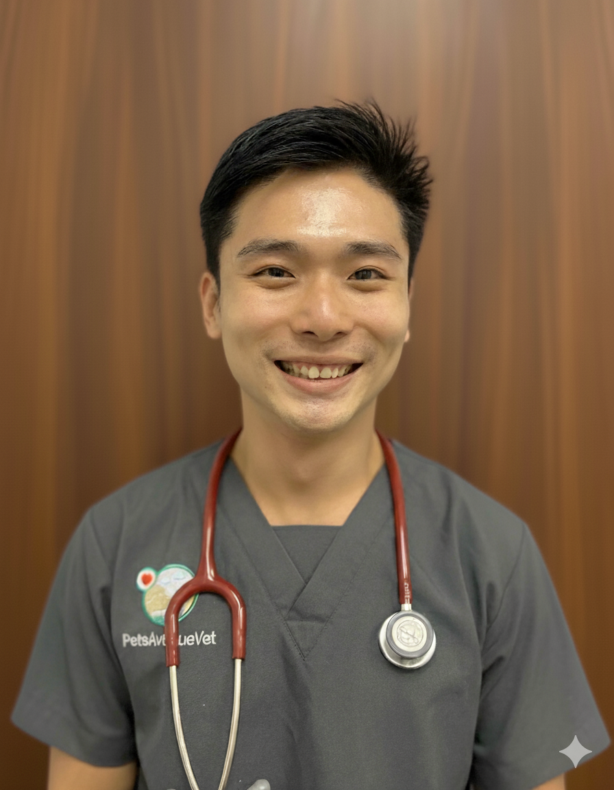 Dr Justin Tan