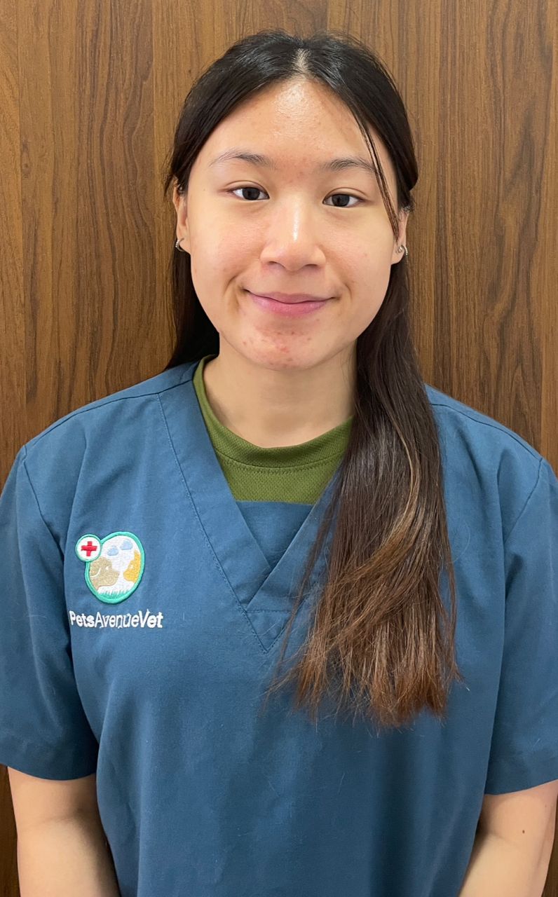 Hui Mei