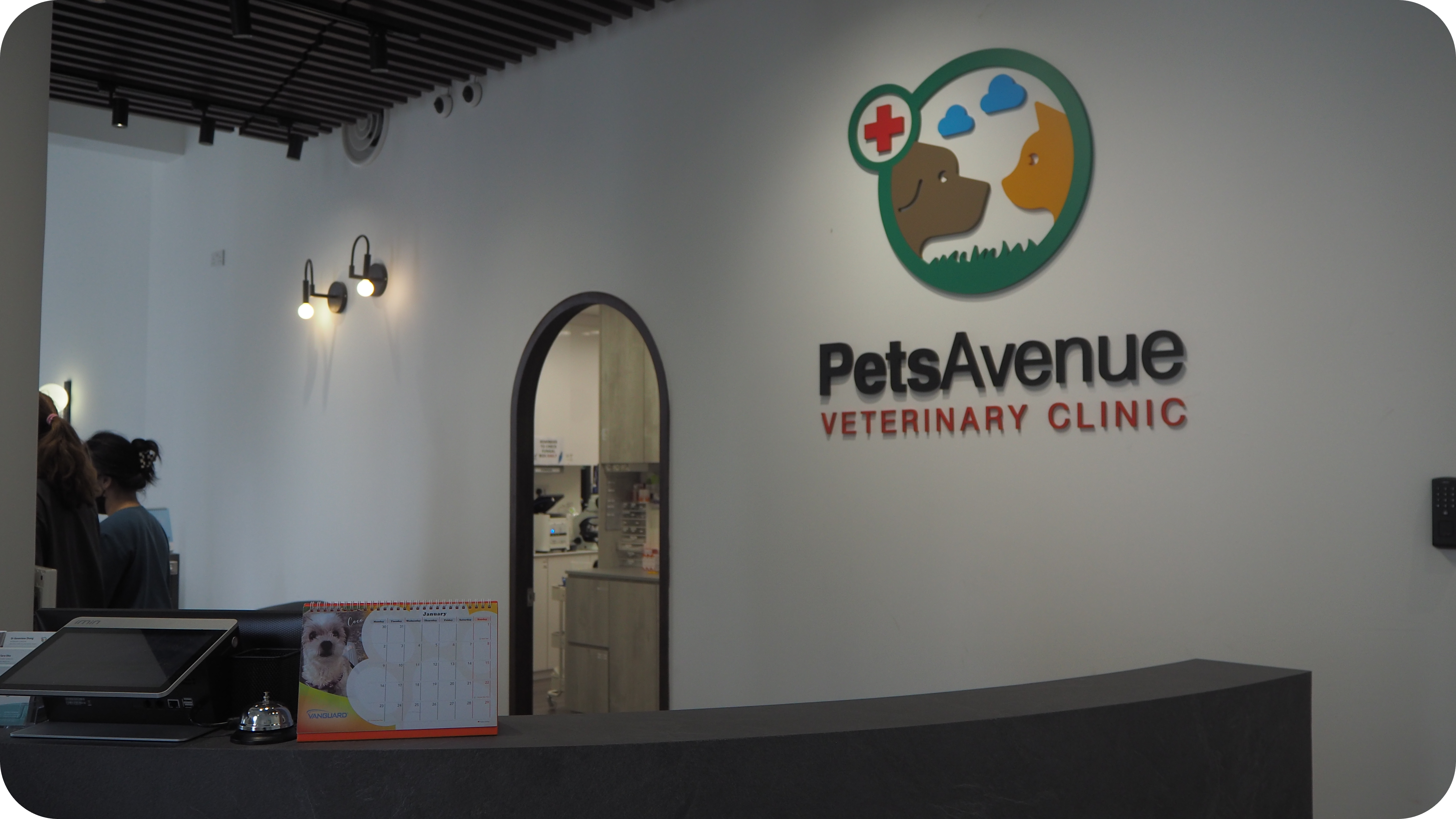 Pets Avenue Our Story