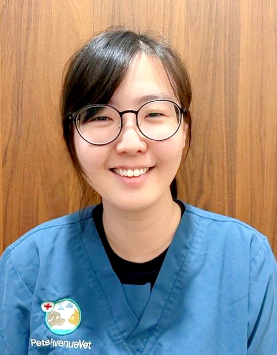 Yun Hui