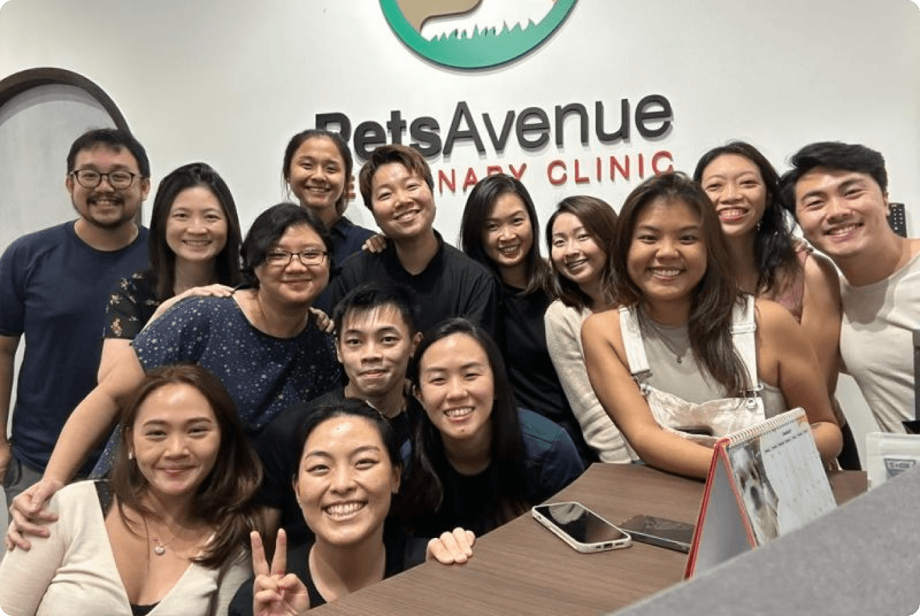 Affordable Vet Singapore - Why Choose Pets Avenue Veterinary Clinic